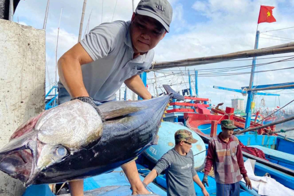 Xuất khẩu khai phá những 'mỏ vàng' mới