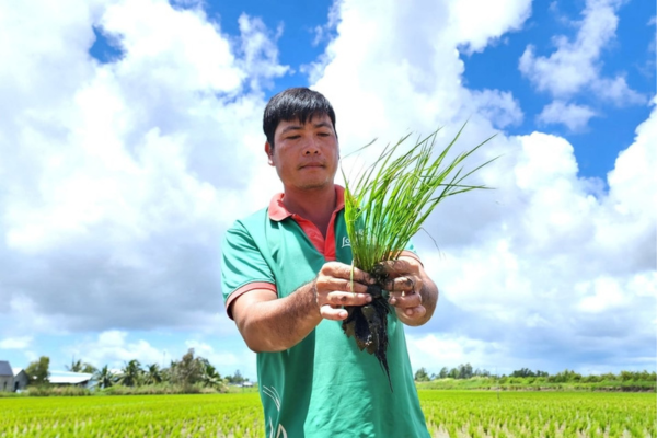 Nông nghiệp sinh thái: Cần thu hẹp khoảng cách giữa chính sách và thực tiễn