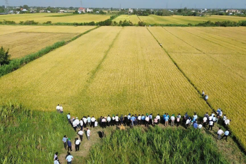 Đồng Tháp trước bước ngoặt nông nghiệp xanh, thông minh, phát thải thấp