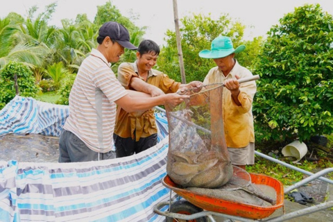 'Vua' cá chình miền Tây: Hành trình làm giàu từ 1 ha đất cằn cỗi