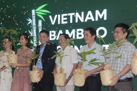 Quỹ phát triển tre Việt muốn đánh thức ngành tre