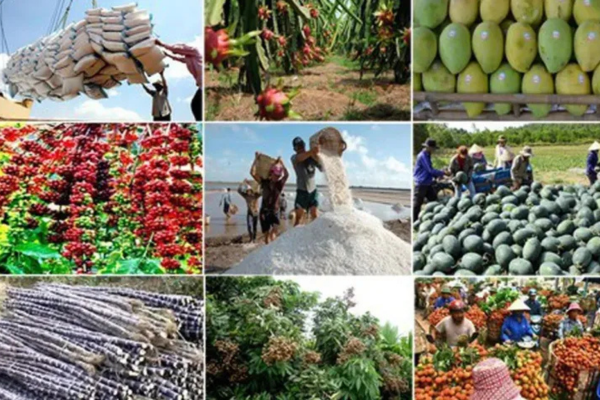 Đa dạng thị trường xuất khẩu nông sản