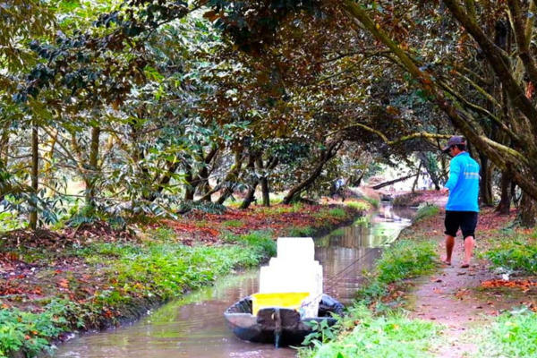 Sản xuất xanh và bền vững, chìa khóa mở rộng thị trường cho nông sản