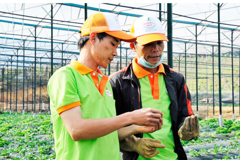 Thúc đẩy khởi nghiệp xanh