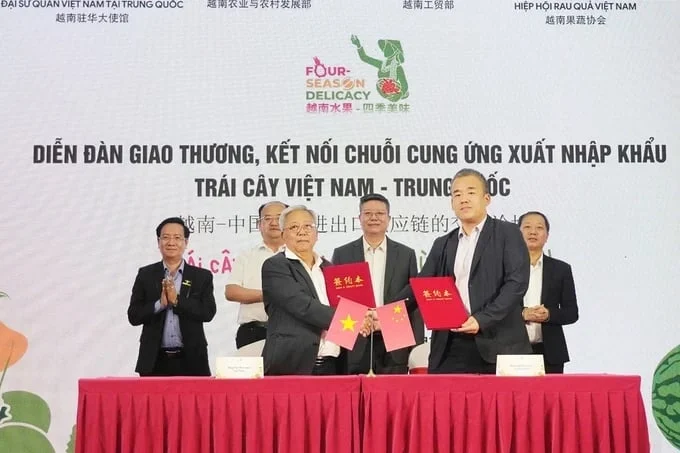 Thị trường nông sản Việt đa kênh, đa hướng: [Bài 2] Những 'nghị định thư mở đường'