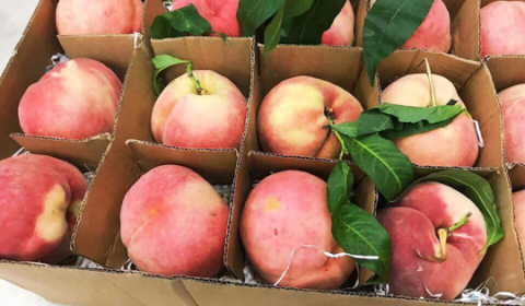 Mít ruột đỏ rớt giá, 'đào tiên' Trung Quốc đắt vẫn 'hút' khách