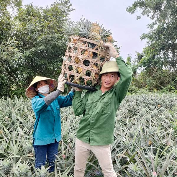 Nguyễn Văn Thắng - Trang trại hoa hồng đỏ