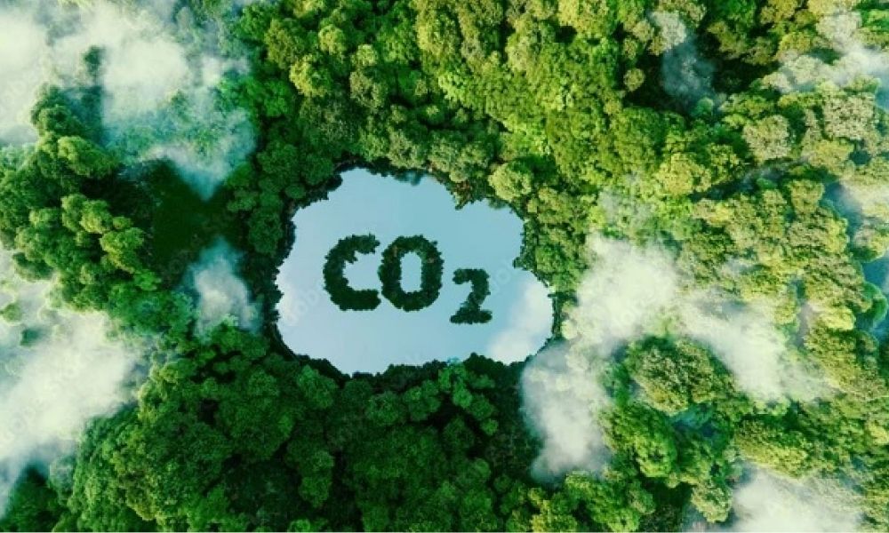 Ngành nông nghiệp ký văn bản chuyển giao 10,3 triệu tấn CO2 cho WB