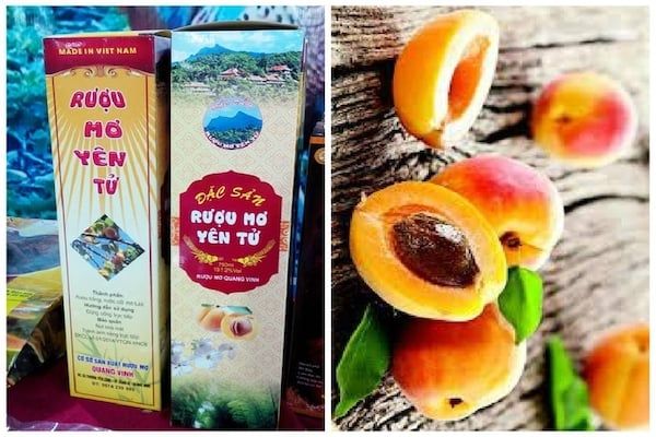 Người gây dựng thương hiệu rượu mơ Yên Tử