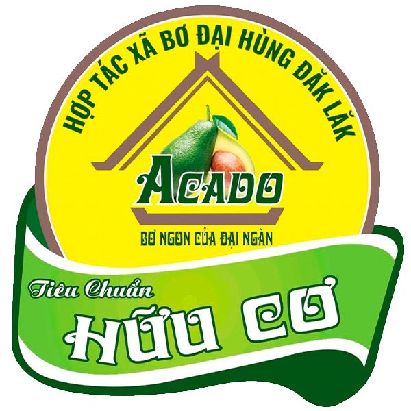 Hợp Tác xã Bơ Đại Hùng Đăk Lăk