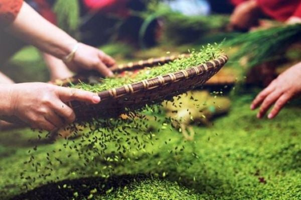 Đặc sắc quy trình chế biến cốm làng Vòng gia truyền, cách tạo nên một 