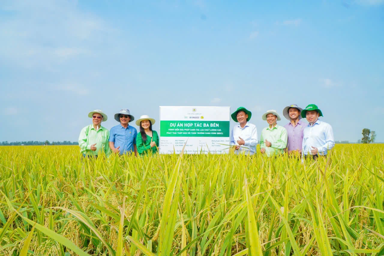 Liên kết sản xuất lúa giảm phát thải, chi phí giảm 40 - 50%