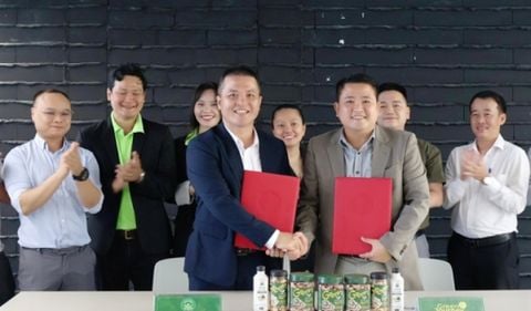 Nông dân trồng điều sẽ có thêm nguồn lợi lớn từ tín chỉ carbon