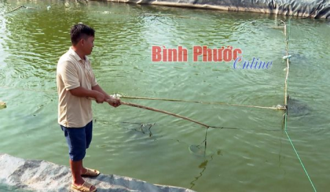 Triển vọng nuôi cá heo nước ngọt tại Bình Phước