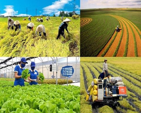 Trình Quốc hội xem xét kéo dài thời hạn miễn thuế sử dụng đất nông nghiệp đến hết năm 2030