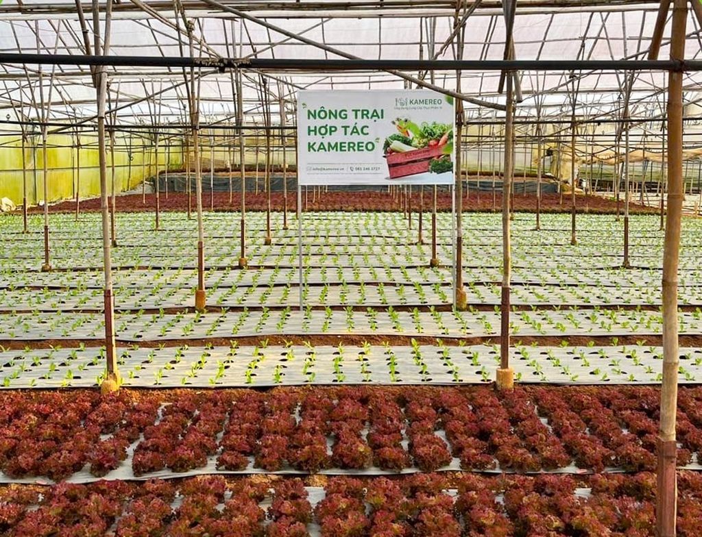 Thị trường nông sản Việt đa kênh, đa hướng: [Bài 6] Nông sản lên 'sàn'