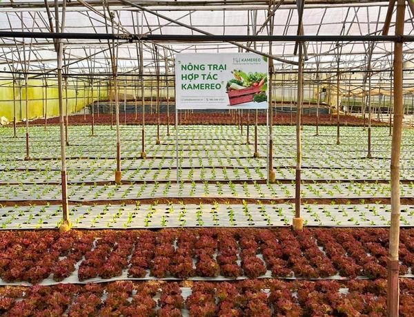 Thị trường nông sản Việt đa kênh, đa hướng: [Bài 6] Nông sản lên 'sàn'