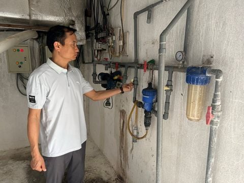 Chăn nuôi Thái Nguyên nổi bật nhờ công nghệ: Định hình bằng tự động hóa