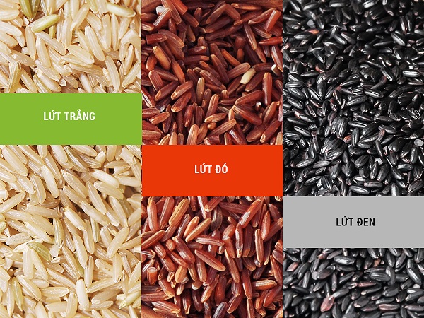 Hàm lượng dinh dưỡng trong bột gạo lứt
