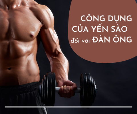 Tác dụng của yến sào với nam giới - Bí quyết tăng cường sức khỏe và sinh lực quý ông tuyệt vời