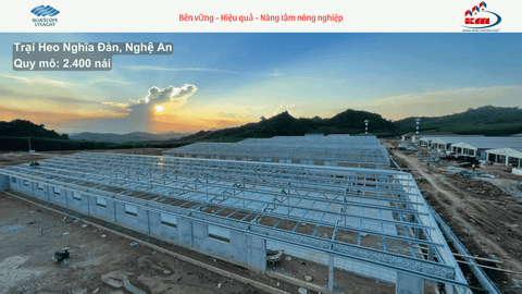 Trại heo Nghĩa Đàn, Nghệ An