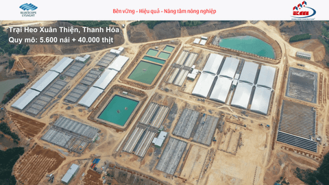 Trại heo Xuân Thiện, Thanh Hóa