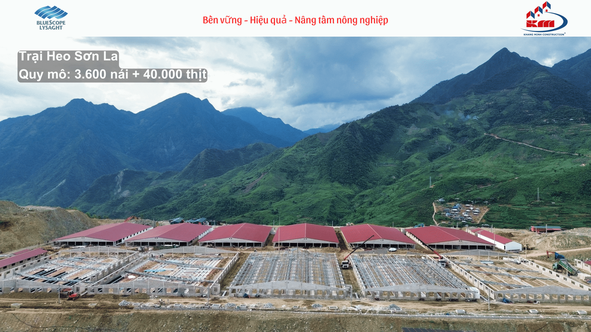 Trại heo Sơn La