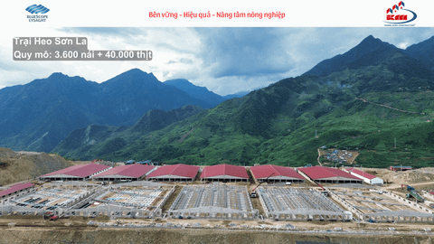 Trại heo Sơn La
