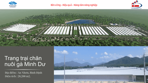 Trang trại chăn nuôi gà Minh Dư