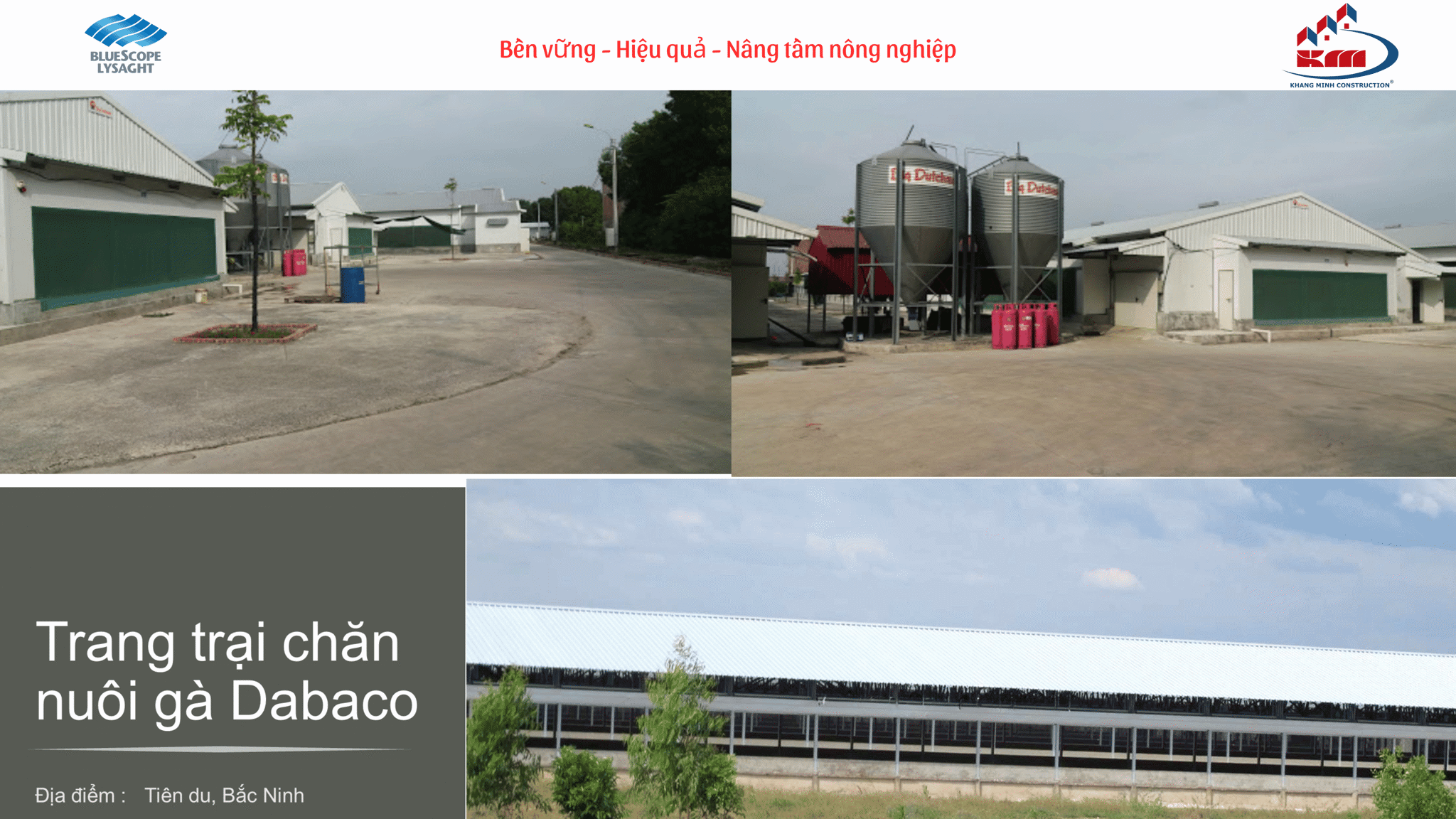 Trang trại chăn nuôi Dabaco