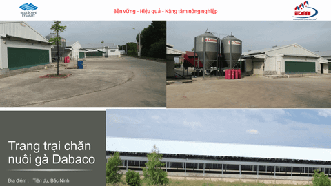 Trang trại chăn nuôi Dabaco