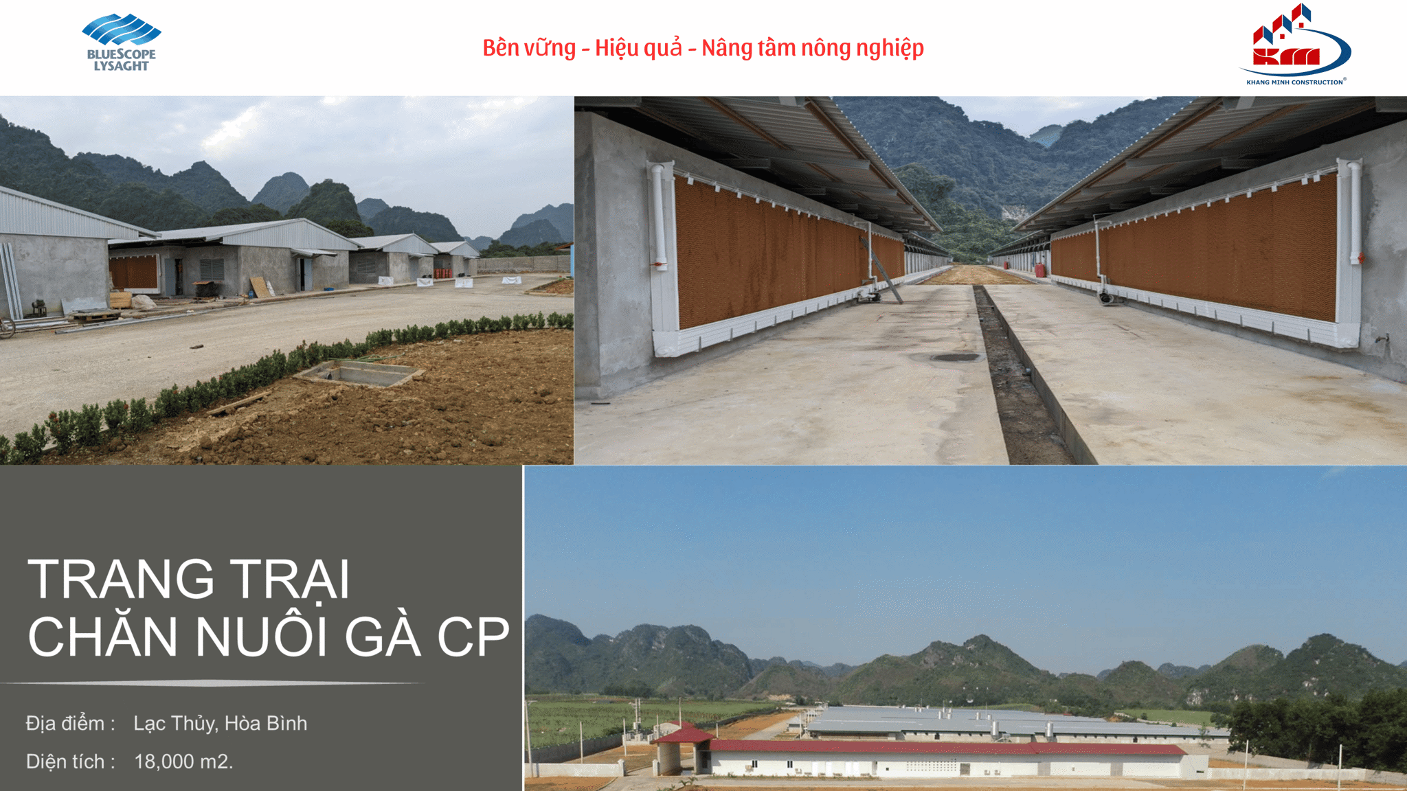 Trang trại chăn nuôi gà CP