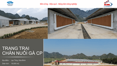 Trang trại chăn nuôi gà CP