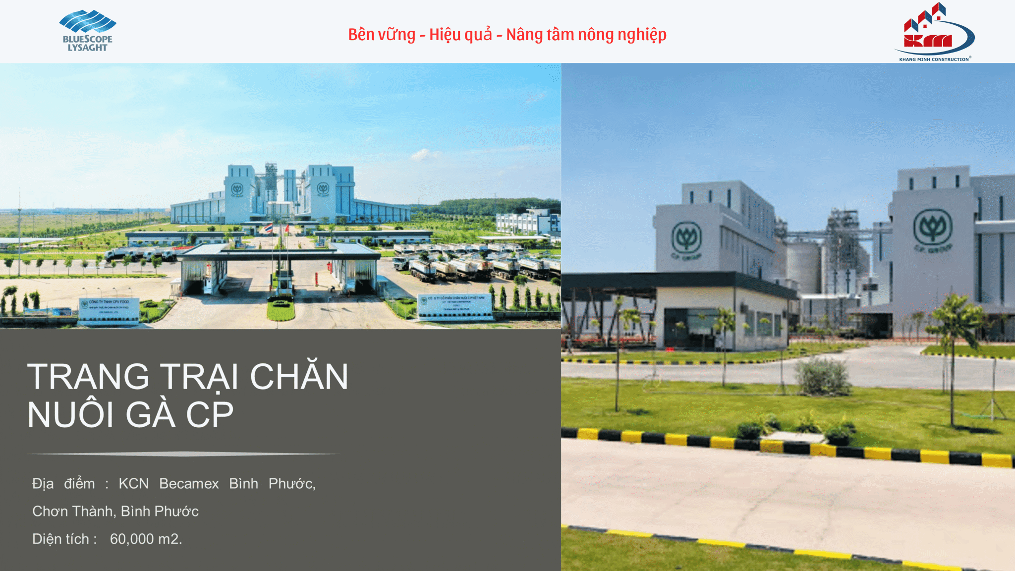 Trang trại chăn nuôi gà CP