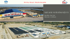 Nhà máy nuôi tôm Việt Úc