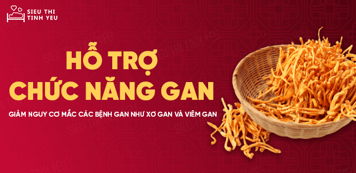 Đông Trùng Hạ Thảo khô thượng hạng bồi bổ cơ thể hủ 12g 4