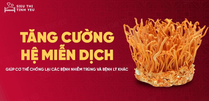 Đông Trùng Hạ Thảo khô thượng hạng bồi bổ cơ thể hủ 12g 1