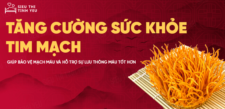 Đông Trùng Hạ Thảo khô thượng hạng bồi bổ cơ thể hủ 12g 3