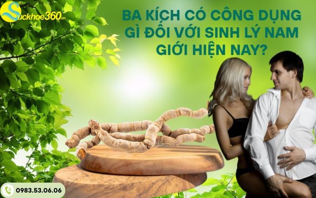 Ba kích có công dụng gì đối với sinh lý nam giới hiện nay?