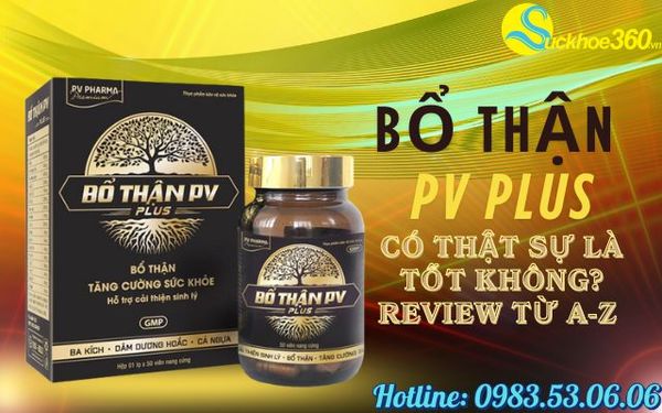 Bổ Thận PV Plus có thật sự là tốt không? Chi tiết từ A đến Z