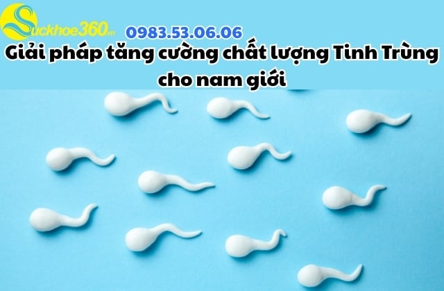 Giải pháp tăng cường chất lượng Tinh Trùng cho nam giới