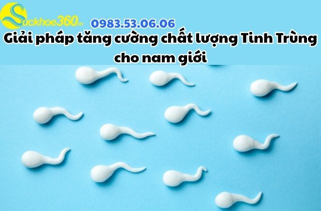 Giải pháp tăng cường chất lượng Tinh Trùng cho nam giới