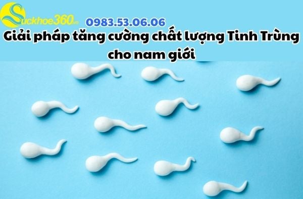 Giải pháp tăng cường chất lượng Tinh Trùng cho nam giới