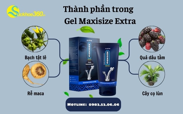 Thành phần có trong Gel Maxisize Extra