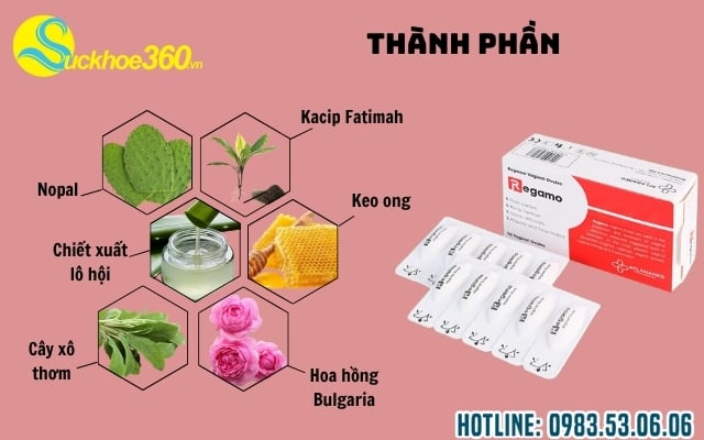 Thành phần viên đặt Regamo có gì đặc biệt?