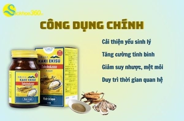 Công Dụng Chính Của Kaki Ekisu Tohchukasou Kenkan.