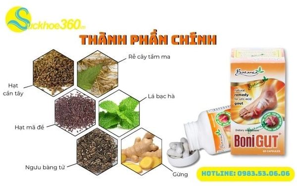 Thành phần chính của Bonni Gut