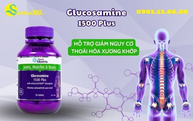 Glucosamine 1500 Plus là gì