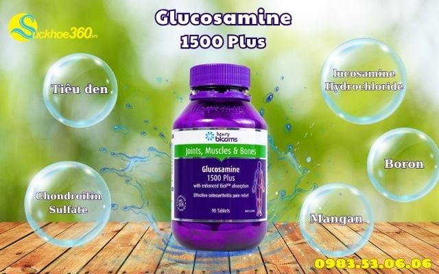 Glucosamine 1500 Plus thành phần