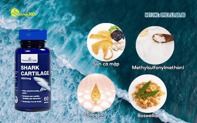 Shark Cartilage NatureCare thành phần